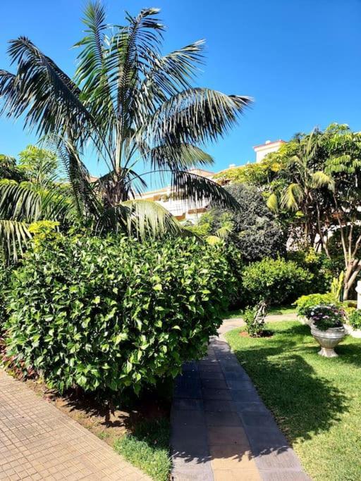 Apto Super Luminoso Puerto de la Cruz  Ngoại thất bức ảnh